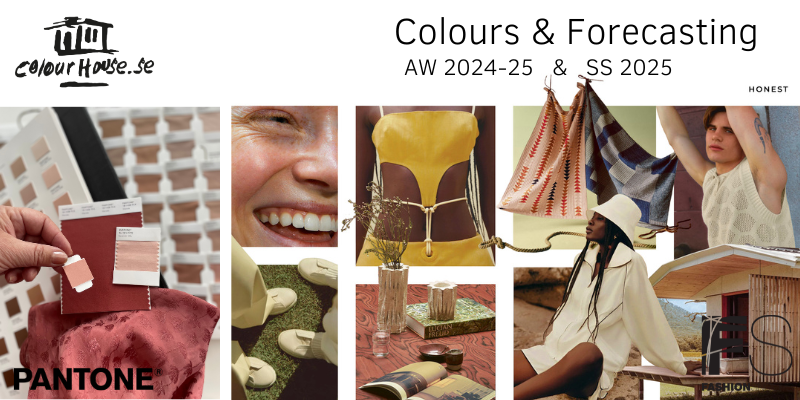 NFF Aug 2023 colours and forecasting